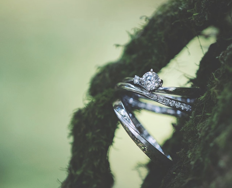 SET RINGS セットリング
