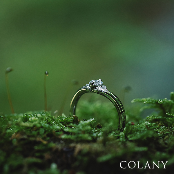 春のブライダルフェア
hana結
everglow