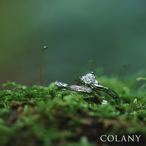 春のブライダルフェア
hana結
everglow