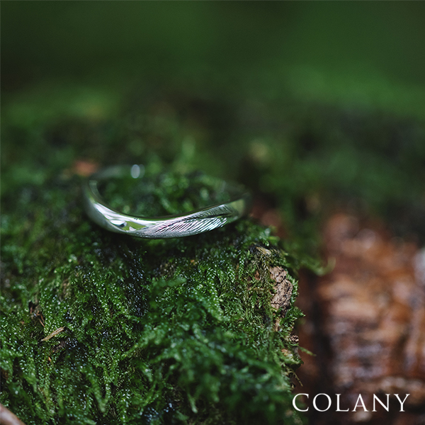 春のブライダルフェア
hana結
everglow