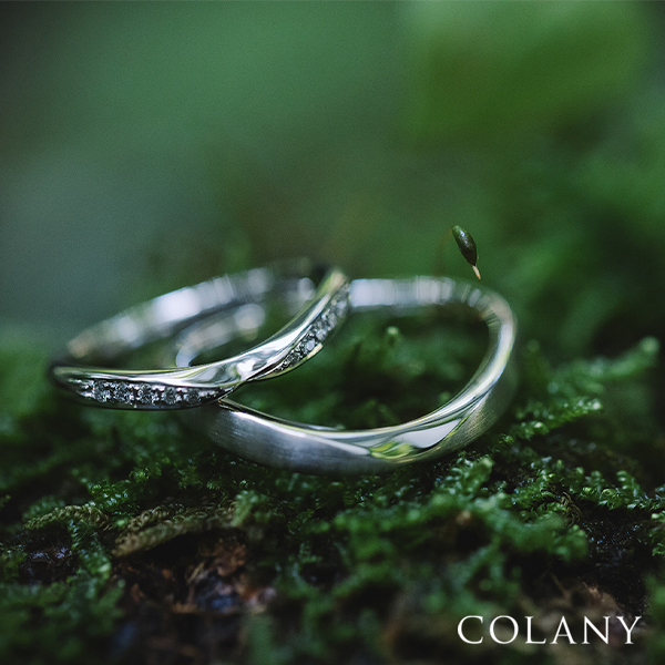 春のブライダルフェア
hana結
everglow