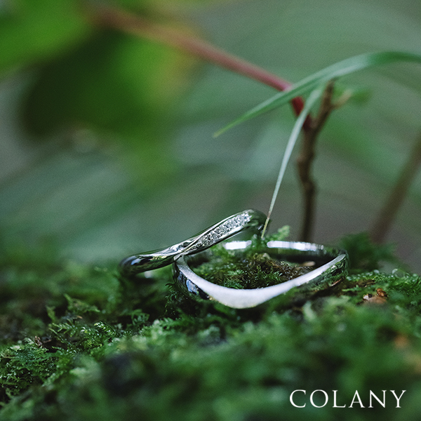 春のブライダルフェア
hana結
everglow