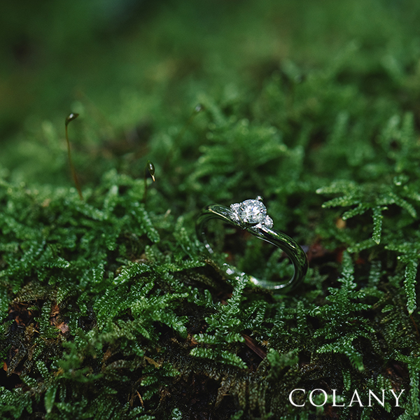 春のブライダルフェア
hana結
everglow