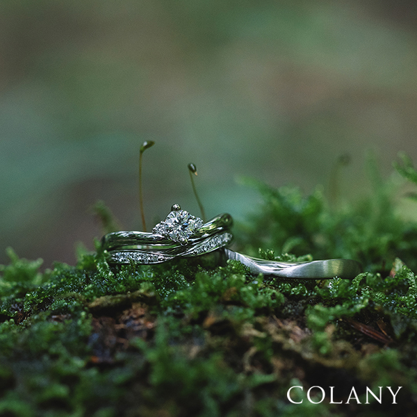 春のブライダルフェア
hana結
everglow